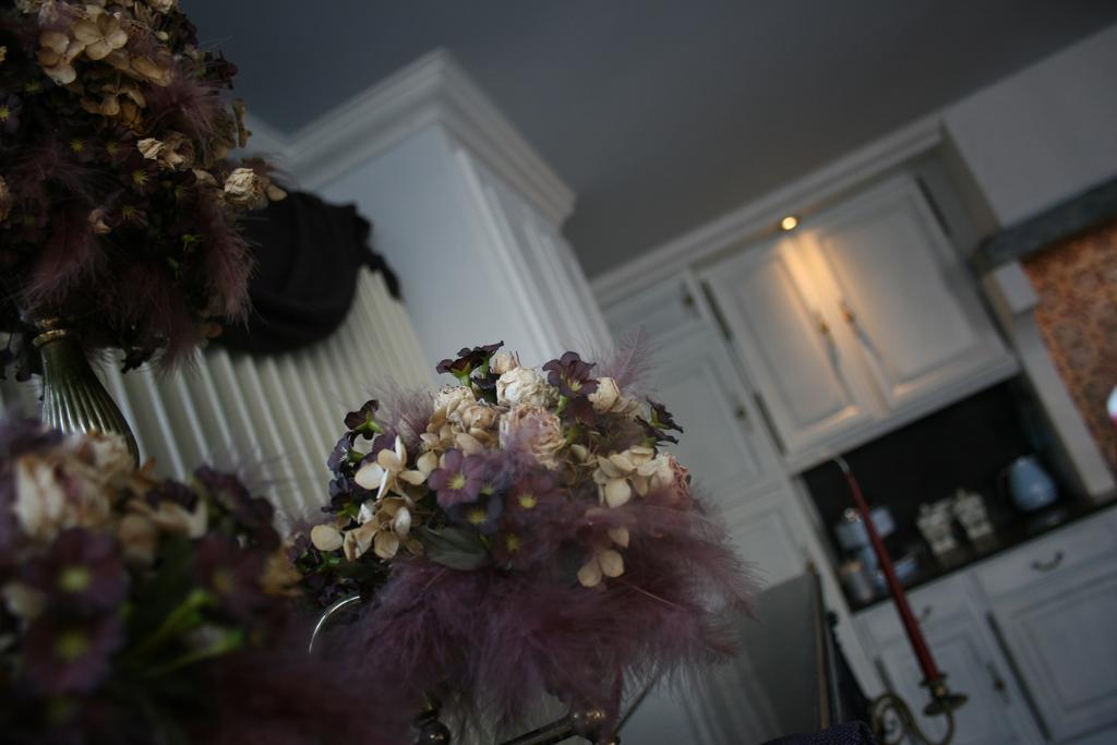 Casa Lucinda * Ghent