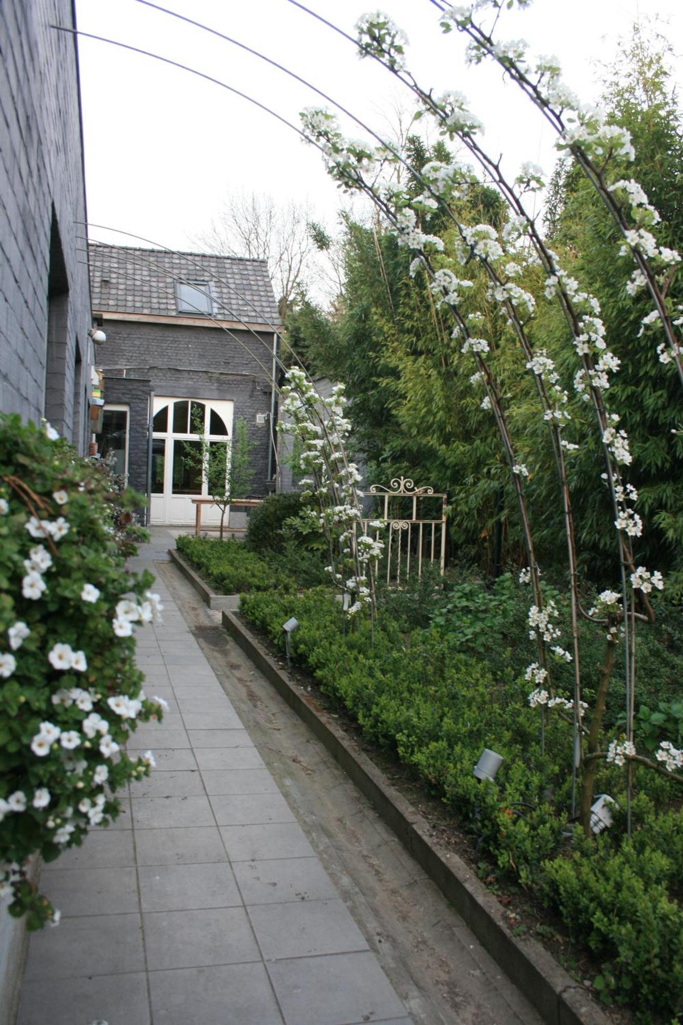 Casa Lucinda Ghent